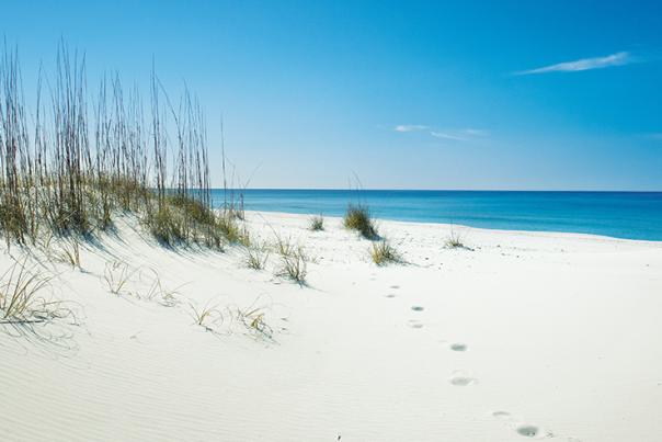 Shell island header
