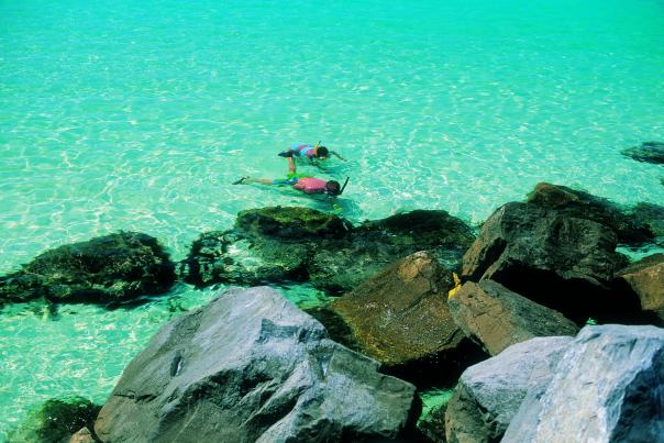 Snorkeling at St. Andrews State Park jetties in Panama City Beach Florida