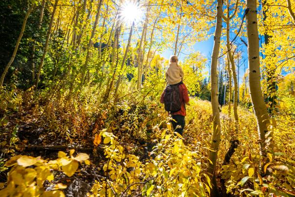 A girl rides on her dad's shoulders while hiking through fall leaves