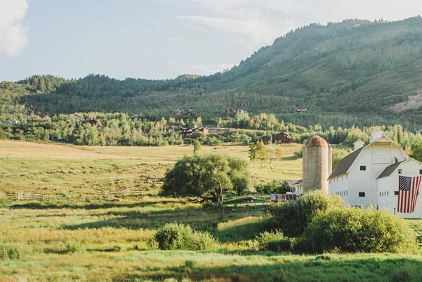White Barn Header for 72 Hours Post