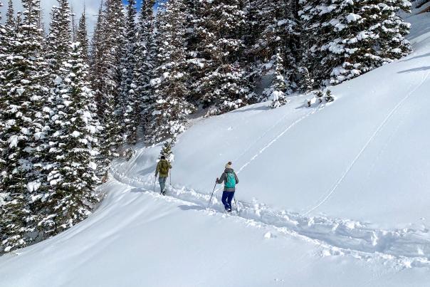 Two people entering forrest on snowshoe trail