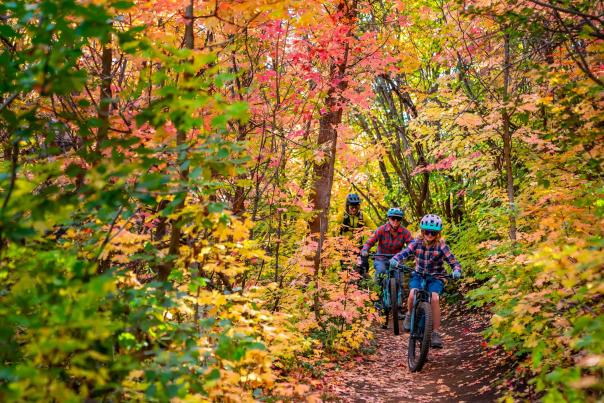 A family of mountain bikers ride through dense fall leaves in Park City, UT