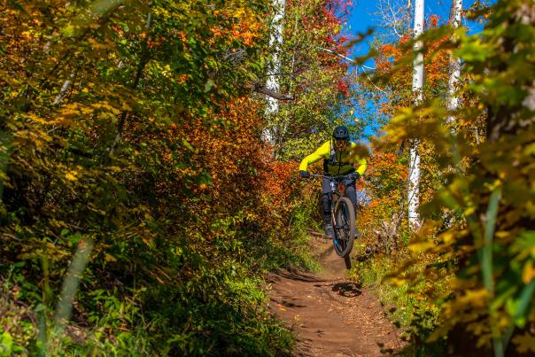 A mountain biker hits a jump on trail between trees on a trail in Park City, UT