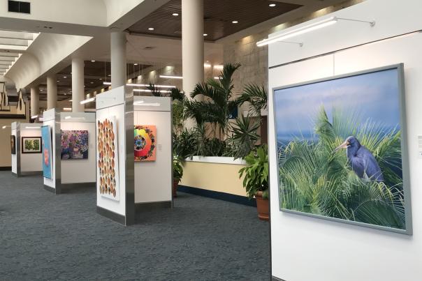 Gallery at PBI