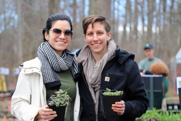 12 months of gardens