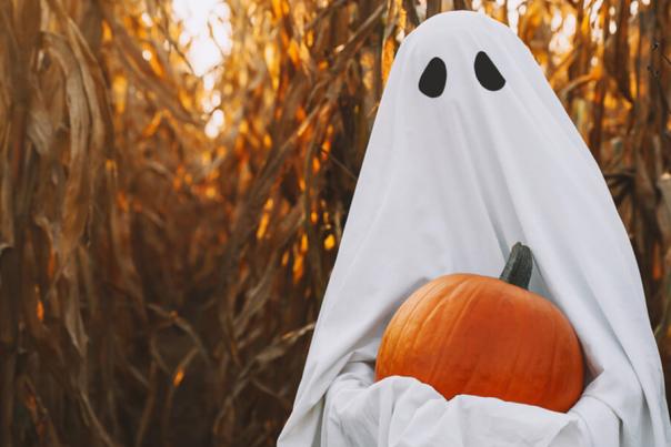 Haunted Mazes and Corn Mazes in PA