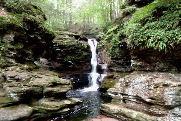 State Parks & Forests in Pennsylvania