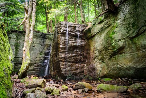 Allegheny National Forest Travel Guide