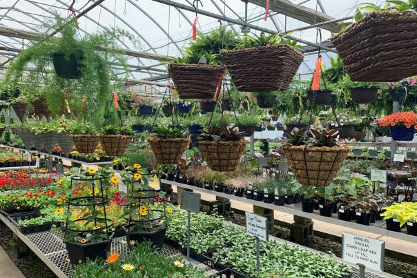 21 Immunity Boosting Greenhouses & Nurseries to Visit This Spring