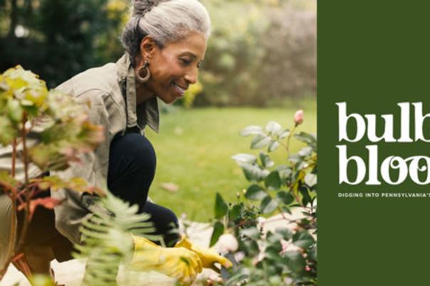 Do Try This at Home: Planning the Eternal Garden