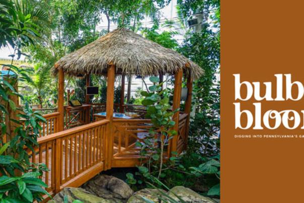 Tropical Staycation