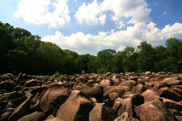 A field of rocks