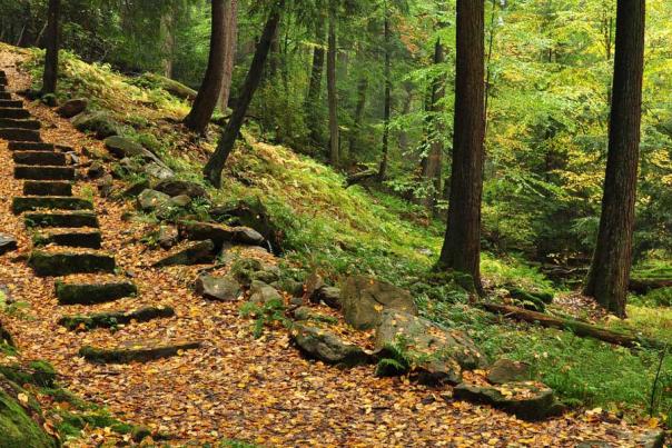 Escape to the PA Wilds for a Romantic Getaway at Gateway Lodge