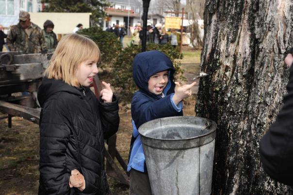 Two small kids smiling and tasting sap that's coming out of a tree
