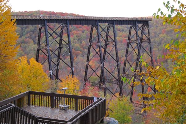 2023 Insider’s Guide to Bradford