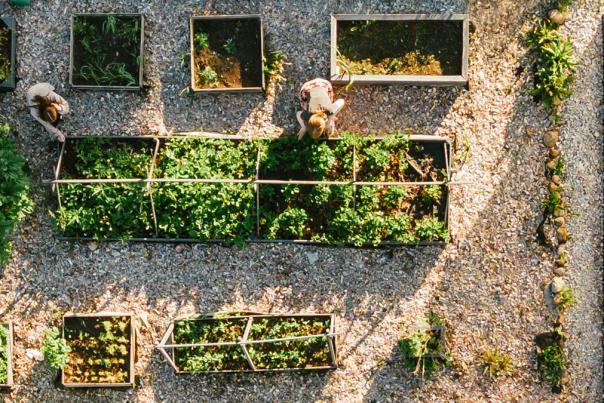 Embrace Your Planting Zone