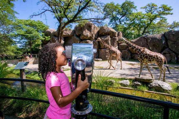 Embrace Your Wild Side at One of Pennsylvania’s Many Epic Zoos