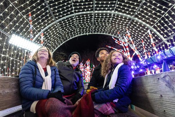 Family of four sitting in a wagon with winter coats on looking up at holiday lights