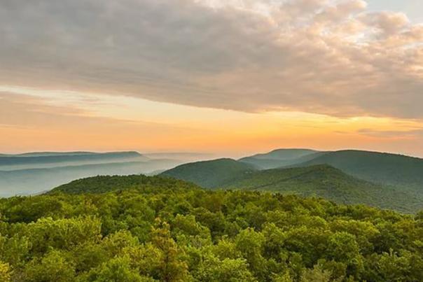 scenic landscape