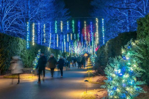 November Events & Festivals