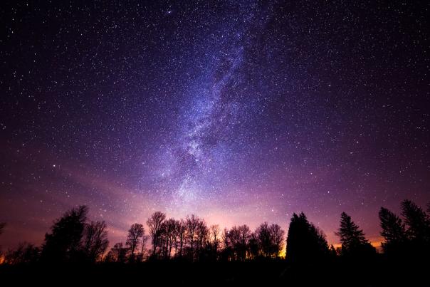 Stars lighting up a night sky with tree silhouettes at Cherry Springs State Park