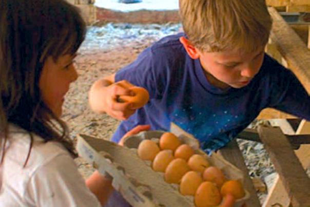 Choose a Pennsylvania Farm Stay