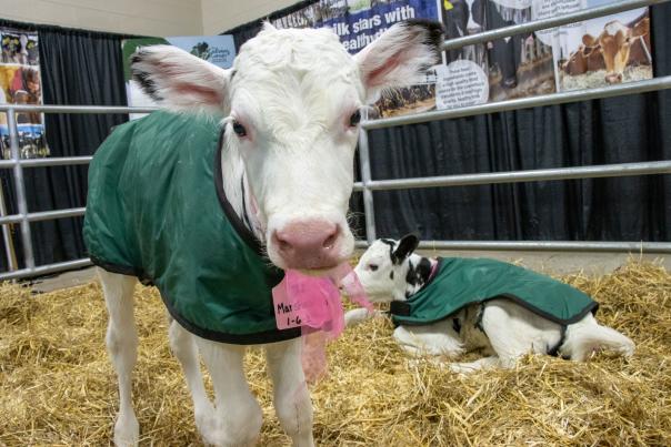 What’s New at the 109th Pennsylvania Farm Show