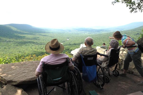 A group of people in wheelchairs sitting on an outdoor overlook looking at a scenic, green forest