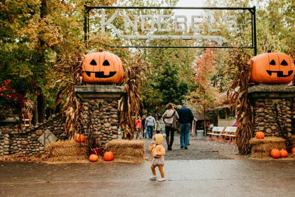 Small kid standing in front of an amusement park entrance with large pumpkins on either sign of a sign that reads "Knoebels"