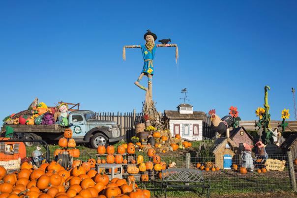 Fall Festivals & Events to Attend in PA