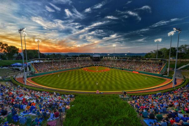 All About the Little League World Series