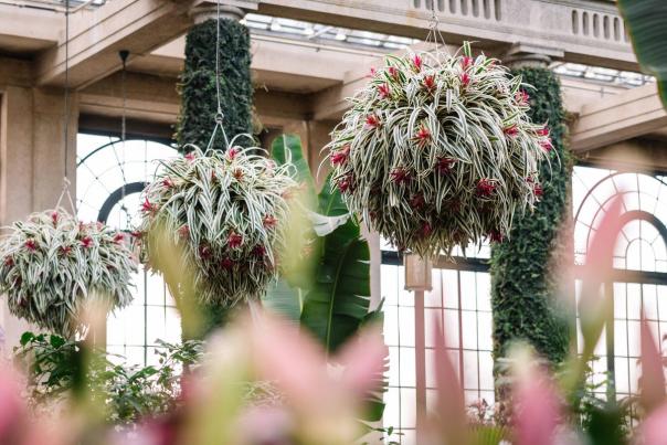 February Events & Festivals in PA