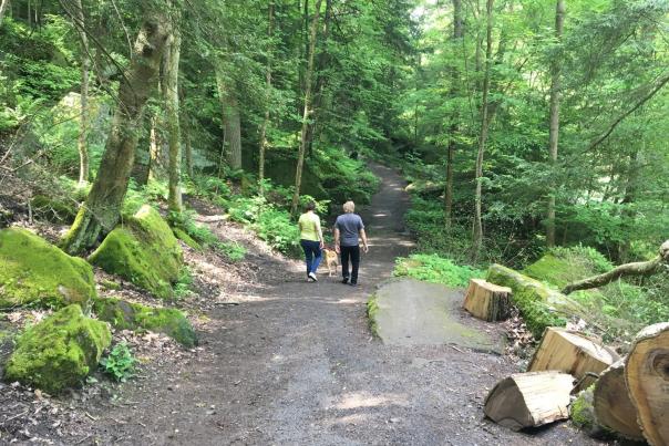 Guide to PA’s Best State Parks and Forests