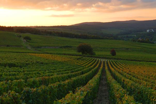 4 Reasons to Wine Taste in Pennsylvania