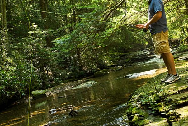 Finding My Wilds Side in Pennsylvania