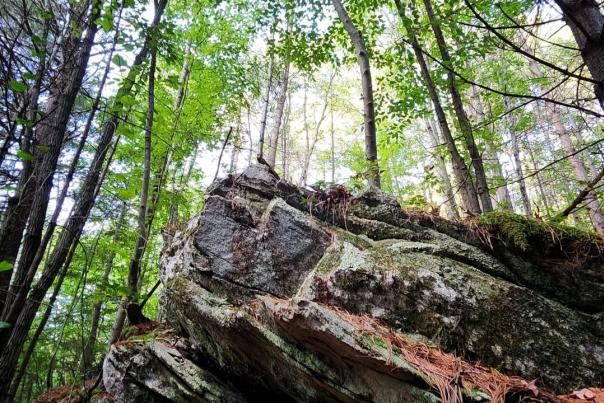 Rock Climbing and Bouldering Experiences in PA
