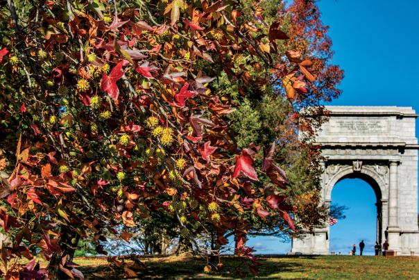 A Getaway Guide for America's 250th Anniversary