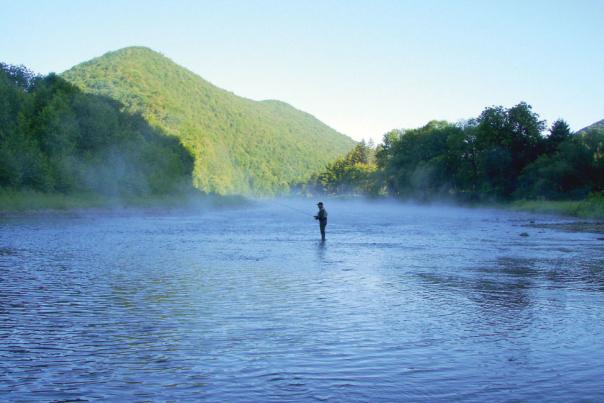 Discover Pennsylvania’s Wild Trout
