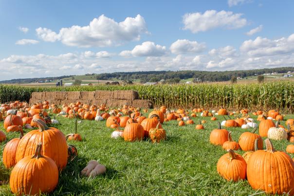Plan your fall getaway