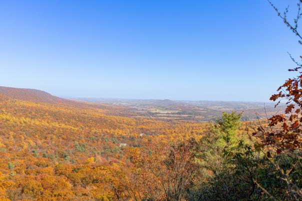 Hawk Mountain Fall