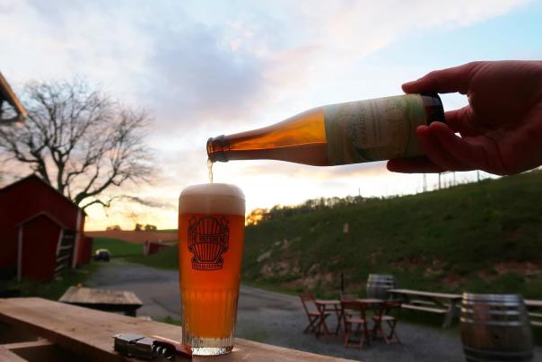 A hand pours a bottle of Referend Beer into a glass sitting on a picnic table with barn in the background.