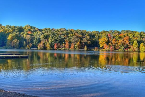 Hawk Mountain Fall