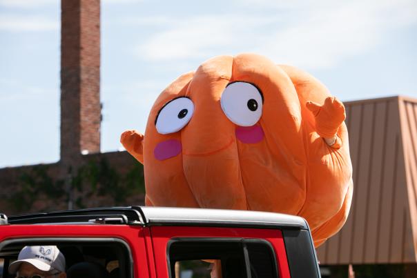 Morton Pumpkin Fest