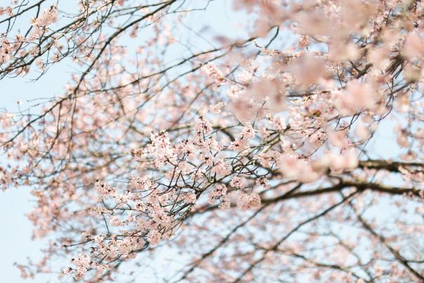 Spring