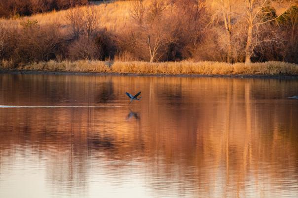 Autumn Fall