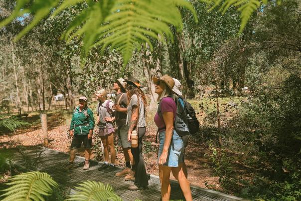 Trilogy of Trails Dwellingup Adventures