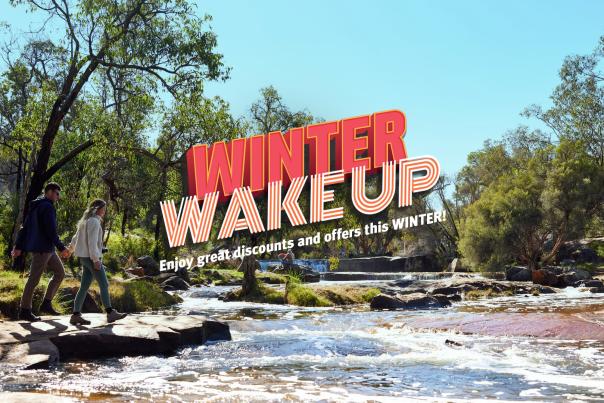 Winter Wake Up
