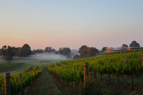 Sittella Winery Swan Valley