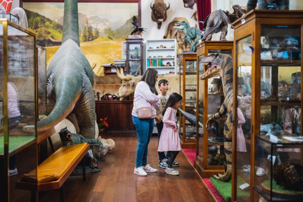 Museum of Natural History | Guildford