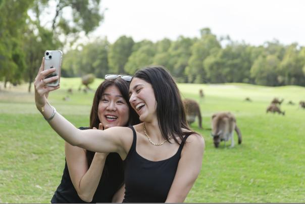 Kangaroo Safari at The Vines Resort